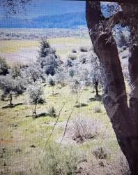 Field For Sale in Demirler Nbh. Seydikemer - Field Zoned - 6.334 m²