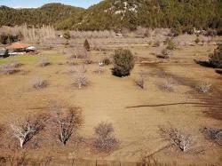 Field For Sale in Çayhisar Nbh. Köyceğiz - Field Zoned - 1.100 m²