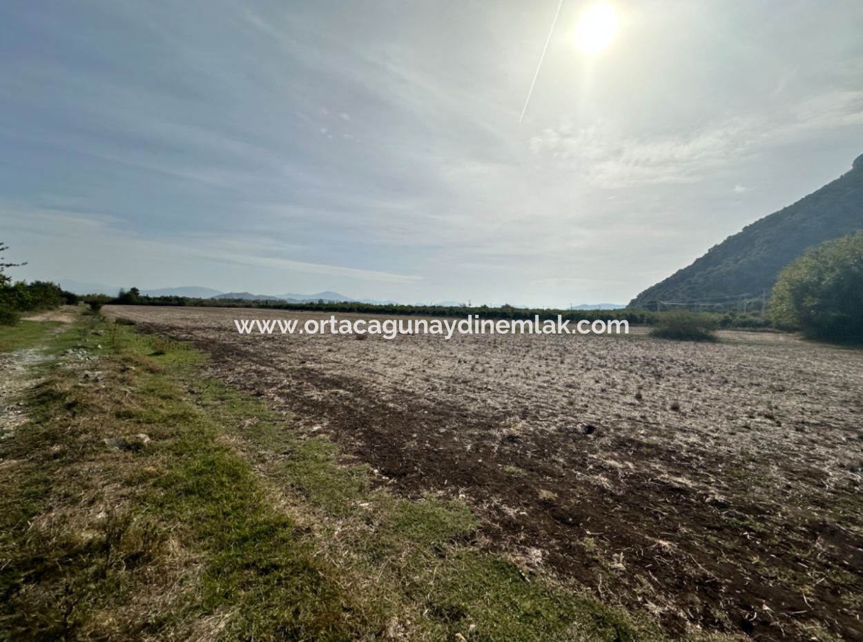 12 Acres Of Single Title Deed Investment Field For Sale In Ortaca Yeşilyurt