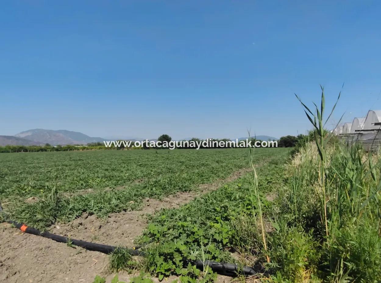 28 Acres Of Land For Sale In Arıkbaşı