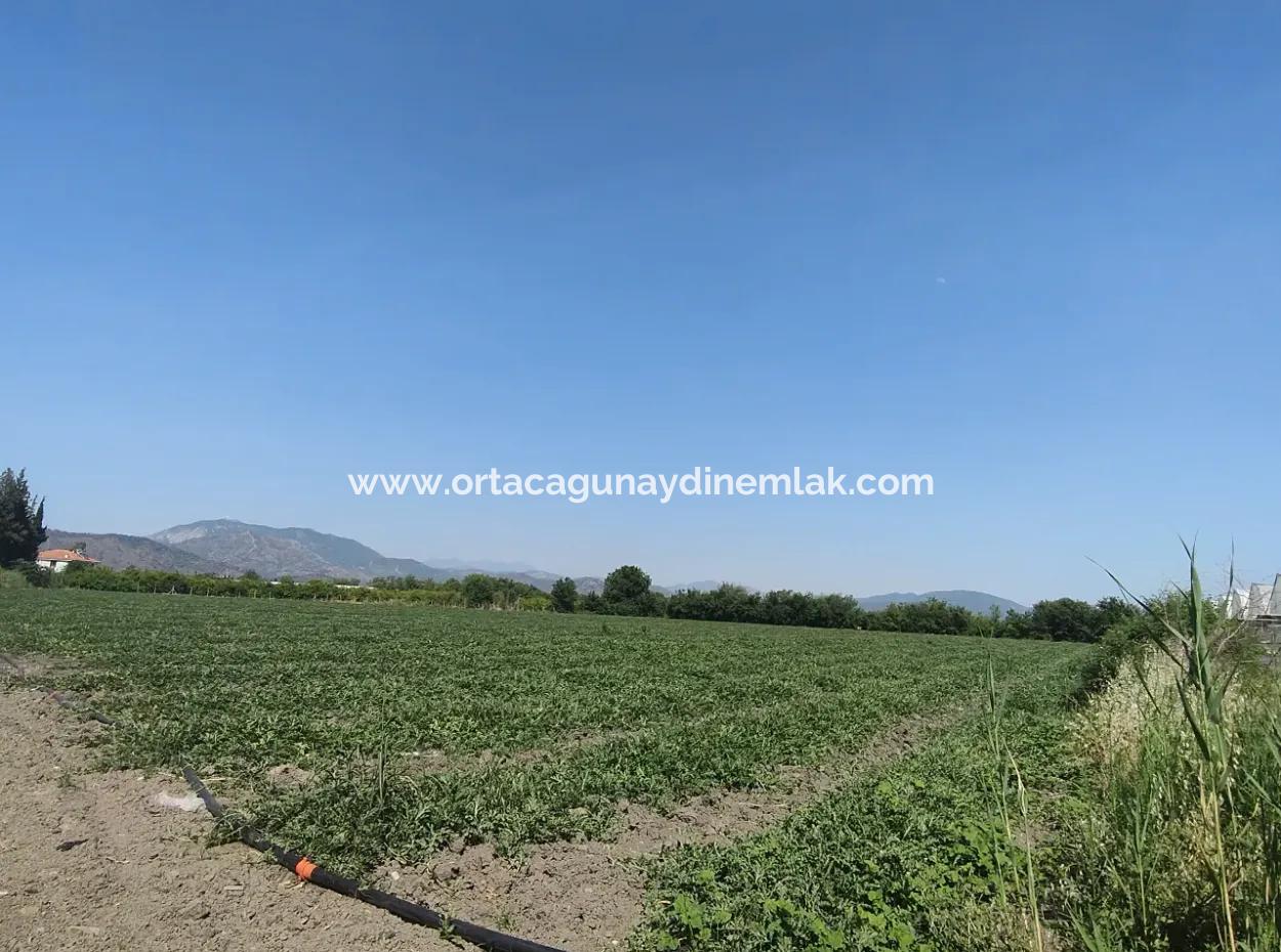28 Acres Of Land For Sale In Arıkbaşı
