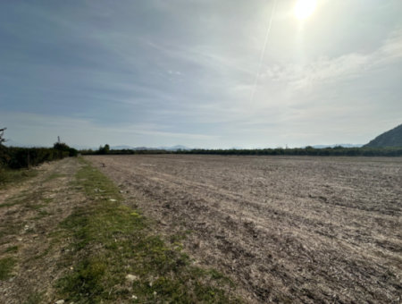 12 Acres Of Single Title Deed Investment Field For Sale In Ortaca Yeşilyurt