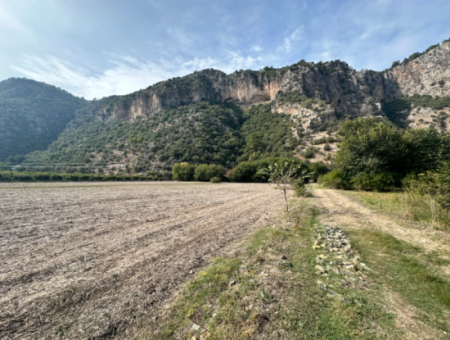 12 Acres Of Single Title Deed Investment Field For Sale In Ortaca Yeşilyurt