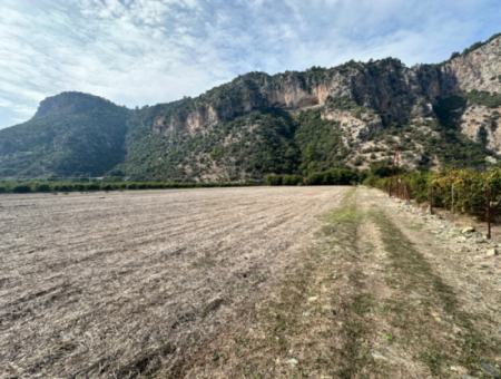 12 Acres Of Single Title Deed Investment Field For Sale In Ortaca Yeşilyurt