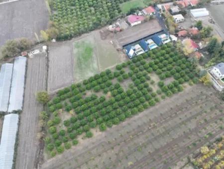 9762 M2 Detached Title Deed Field For Sale In Archers