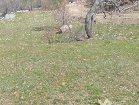 8000 M2 Single Title Deed Field For Sale In Dalaman Elcik
