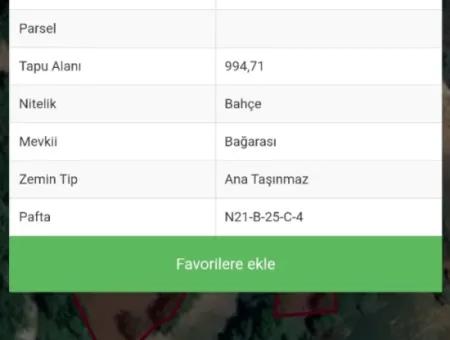 994 M2 Single Title Deed Garden For Sale In Denizli Tavasta