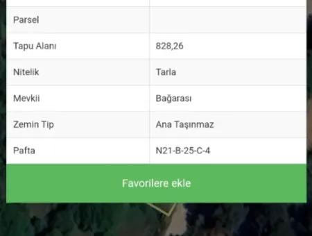 828 M2 Single Title Deed Field For Sale In Denizli Tavasta