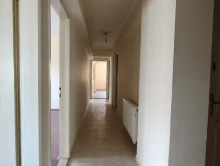 3 1 Apartments For Rent In The Center Of Ortaca