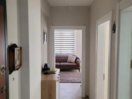 Ege Holiday Site Luxury Furnished 2 1 Flat For Rent With Pool
