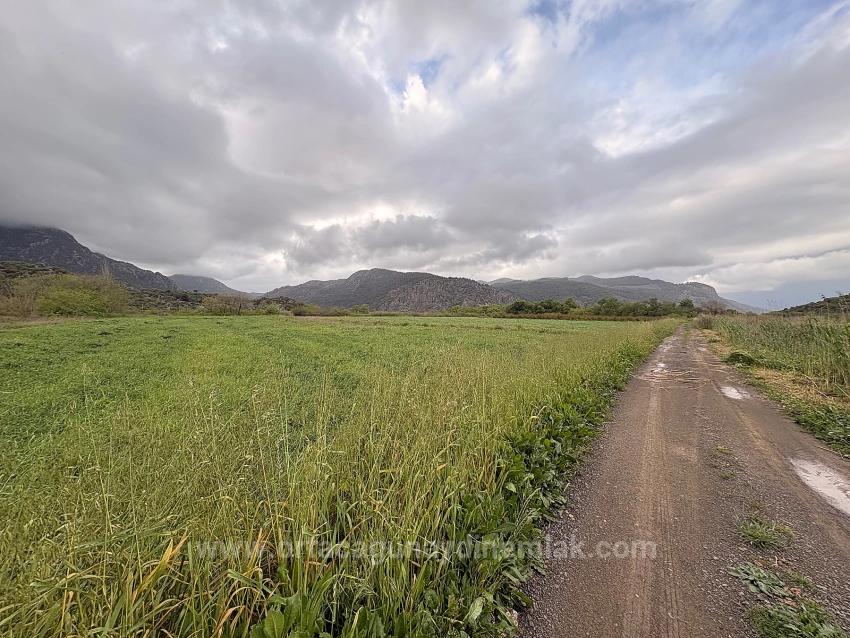 Продается Земельный Участок Общей Площадью 7088 М2 В Районе Мергенли, Ортаджа, Мугла.