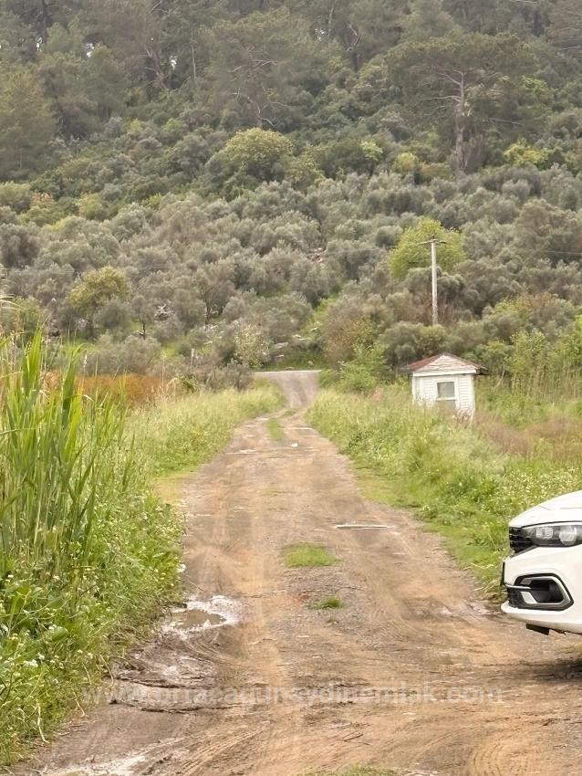 Продается Земельный Участок Общей Площадью 7088 М2 В Районе Мергенли, Ортаджа, Мугла.