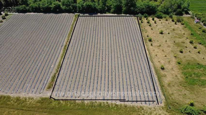 Продается Сельскохозяйственный Участок Площадью 6006 М2 В Районе Февзие, Ортаджа, С Единым Свидетельством О Праве Собственности.