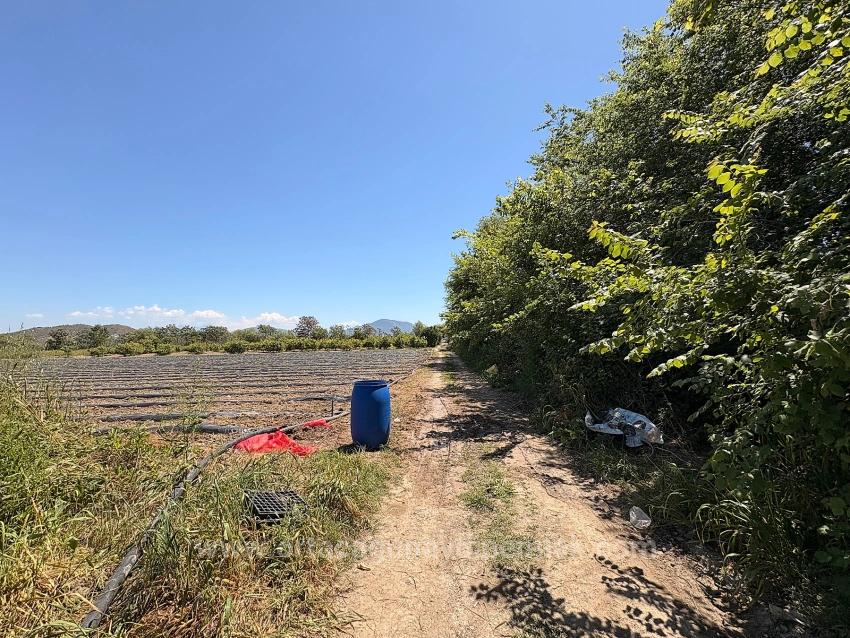 Продается Сельскохозяйственный Участок Площадью 6006 М2 В Районе Февзие, Ортаджа, С Единым Свидетельством О Праве Собственности.