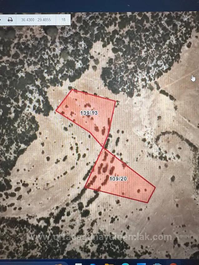 Для Продажи Поле в Yaylapalamut Kaş Cemre - Под Поле застройку - 3.350 m²