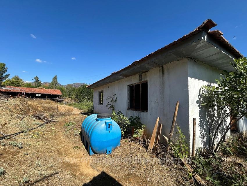 Общее Поле Площадью 1675 М² На Продажу В Кёйджегиз Пынаркей