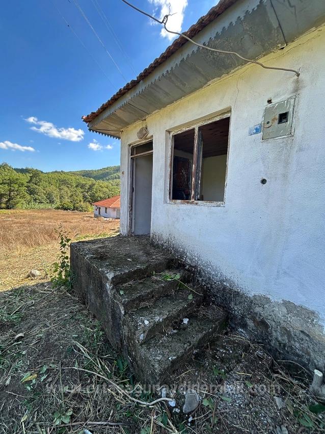 Общее Поле Площадью 1675 М² На Продажу В Кёйджегиз Пынаркей