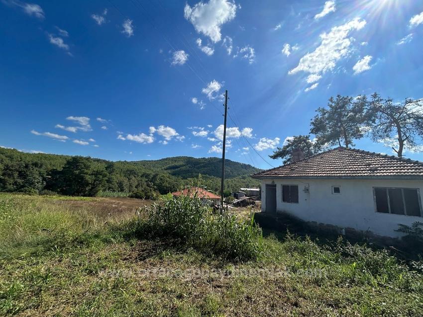 Общее Поле Площадью 1675 М² На Продажу В Кёйджегиз Пынаркей