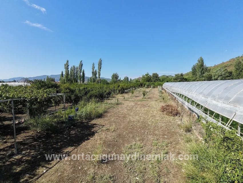 Для продажи Поле в Çaylı Ortaca - Под Поле застройку - 1.870 m²