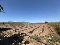 Продается Сельскохозяйственный Участок Площадью 6006 М2 В Районе Февзие, Ортаджа, С Единым Свидетельством О Праве Собственности.