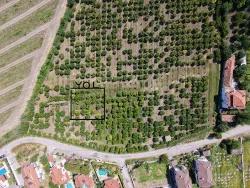 Для продажи Сюжет в Dalyan Ortaca - Под Жилье застройку - 500 m²