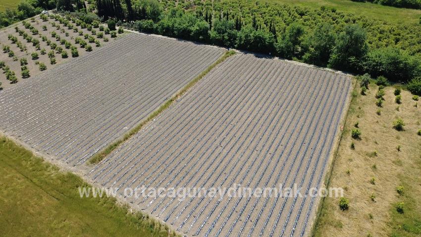 Для Продажи Поле в Fevziye Ortaca - Под Поле застройку - 6.006 m²