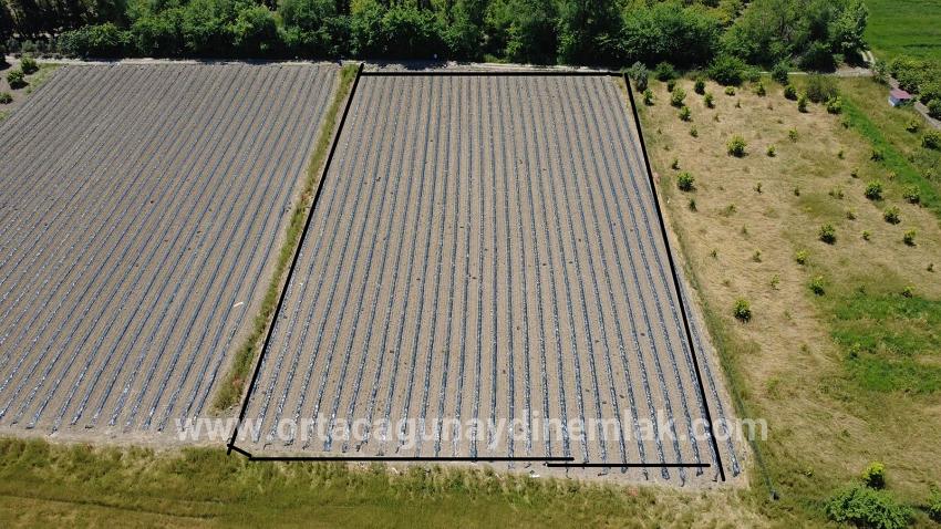 Для Продажи Поле в Fevziye Ortaca - Под Поле застройку - 6.006 m²
