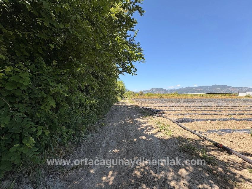 Для Продажи Поле в Fevziye Ortaca - Под Поле застройку - 6.006 m²
