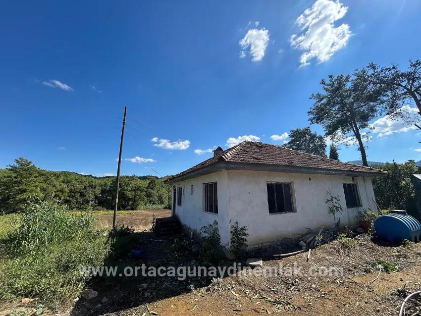 Для Продажи Поле в Pınar Köyceğiz - Под Поле застройку - 16.964 m²