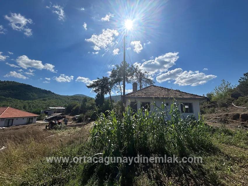 Для Продажи Поле в Pınar Köyceğiz - Под Поле застройку - 16.964 m²