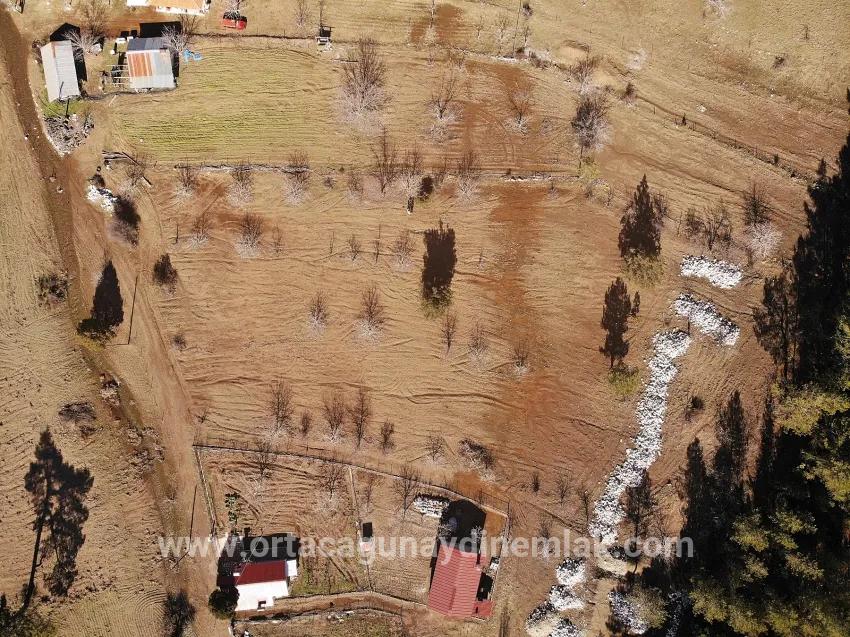 Для Продажи Поле в Çayhisar Köyceğiz - Под Поле застройку - 1.100 m²