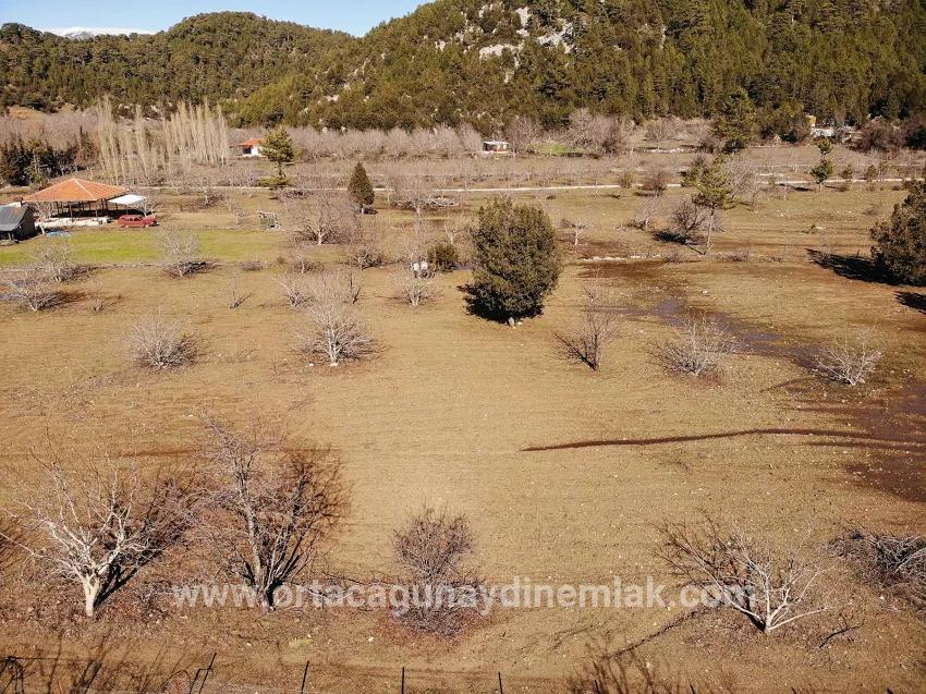 Для Продажи Поле в Çayhisar Köyceğiz - Под Поле застройку - 1.100 m²