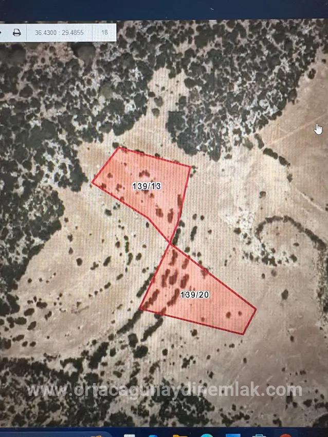 Для Продажи Поле в Yaylapalamut Kaş Cemre - Под Поле застройку - 3.350 m²