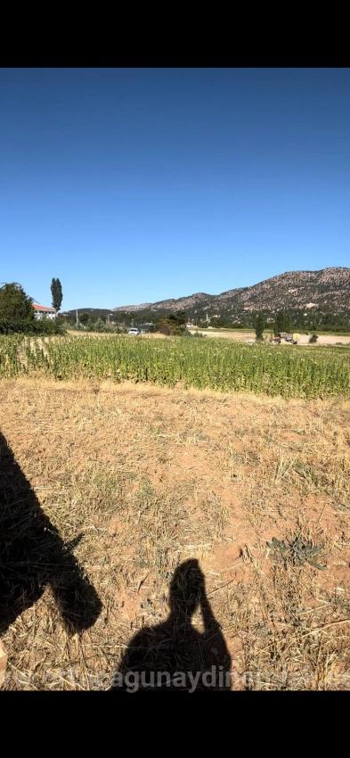 Denizli Çamelide 993 M² Tek Tapu Satılık Tarla