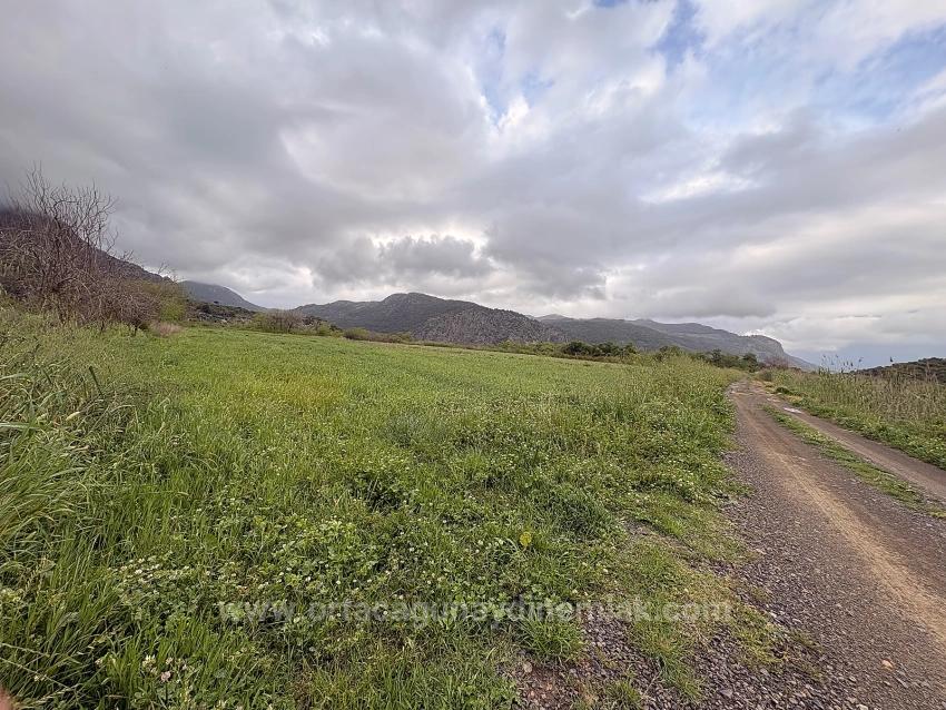 Muğla Ortaca Mergenli Mah. 7.088 M2 Hisseli Satılık Tarla