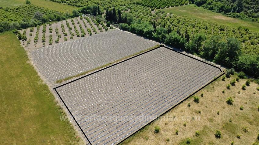 Ortaca Fevziye Mah. 6006 M2 Müstakil Tek Tapu Satılık Tarla