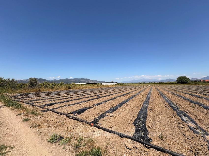 Ortaca Fevziye Mah. 6006 M2 Müstakil Tek Tapu Satılık Tarla