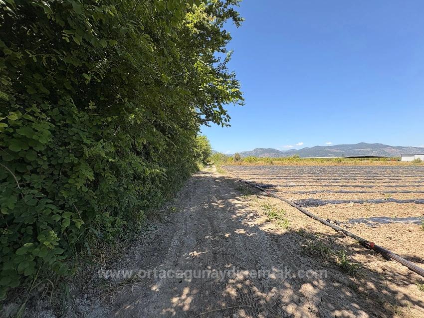 Ortaca Fevziye Mah. 6006 M2 Müstakil Tek Tapu Satılık Tarla