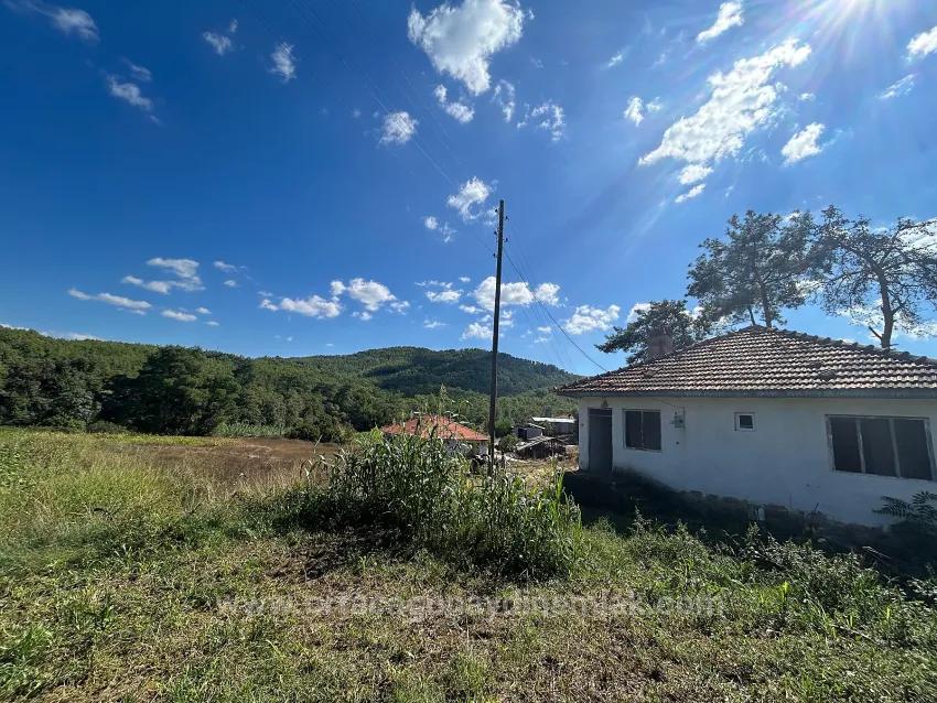 Muğla Köyceğiz Pınar Köyde 1.675 M2 Satılık Tarla