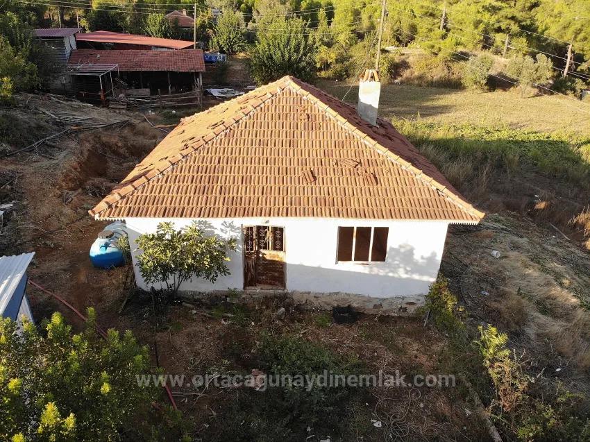 Muğla Köyceğiz Pınar Köyde 1.675 M2 Satılık Tarla