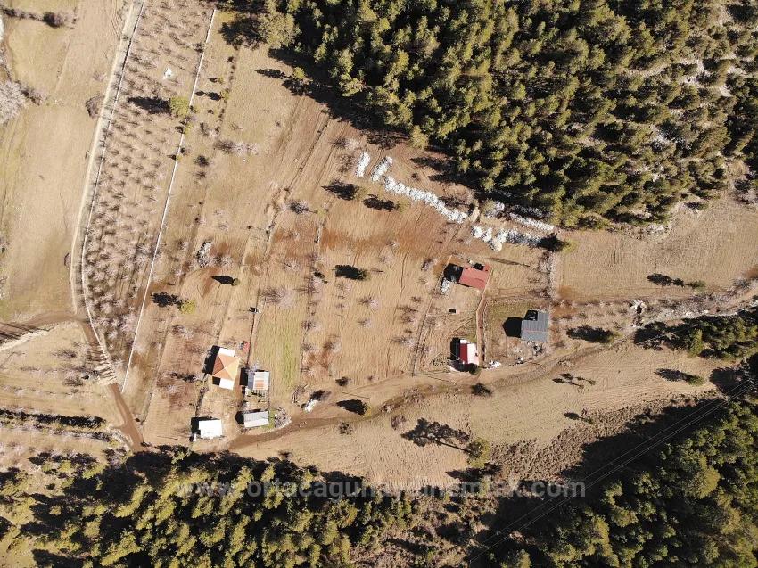Köyceğiz Çövenli Yaylasında 1.100 M² Satılık Tarla