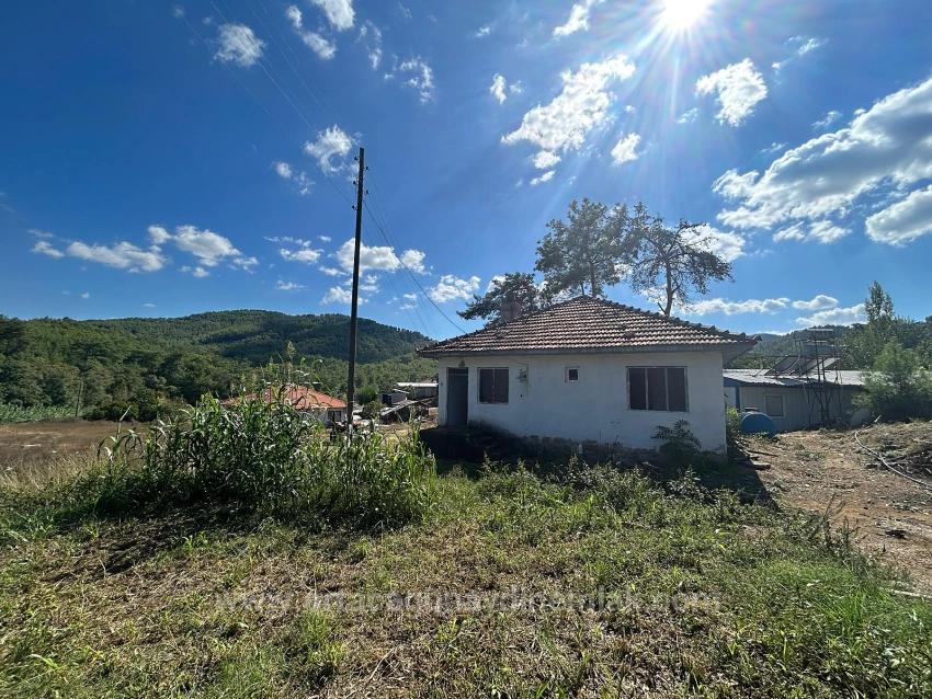 Köyceğiz Pınarköyde 1675 M² Hisseli Satılık Tarla