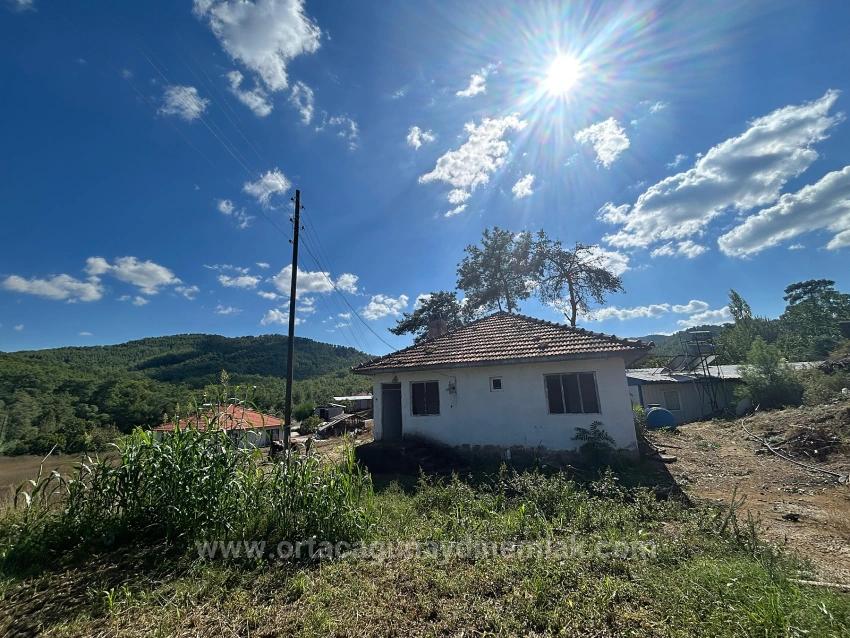 Köyceğiz Pınarköyde 1675 M² Hisseli Satılık Tarla