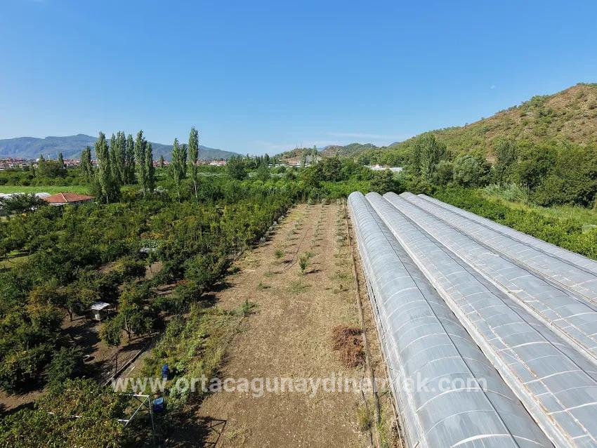 Ortaca Çaylı Mah. Satılık Tarla - Tarla İmar Durumlu - 1.870 m²