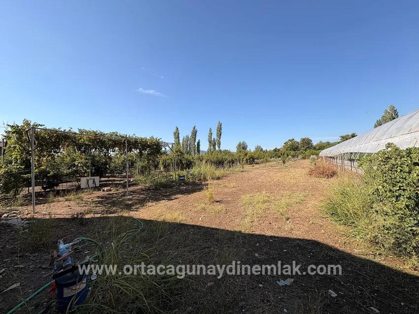 Ortaca Çaylı Mah. Satılık Tarla - Tarla İmar Durumlu - 1.870 m²