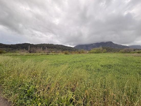 Muğla Ortaca Mergenli Mah. 7.088 M2 Hisseli Satılık Tarla
