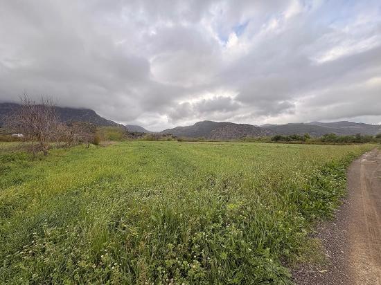 Muğla Ortaca Mergenli Mah. 7.088 M2 Hisseli Satılık Tarla