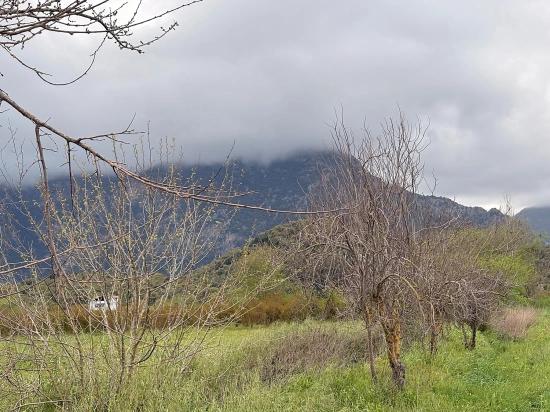 Muğla Ortaca Mergenli Mah. 7.088 M2 Hisseli Satılık Tarla