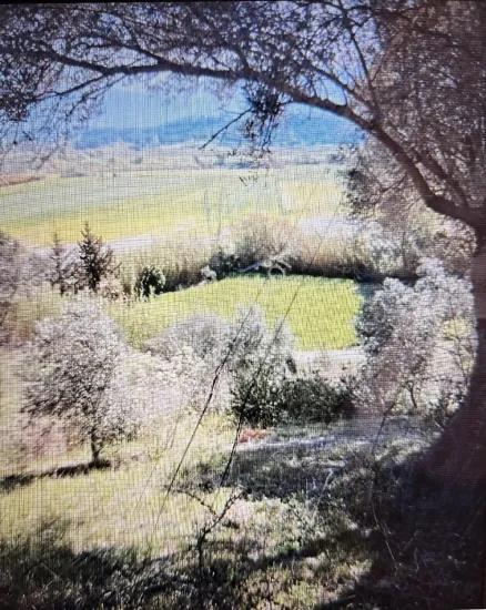 Seydikemer Demirler Mah. 6.334 M2 Tek Tapu Satılık Tarla