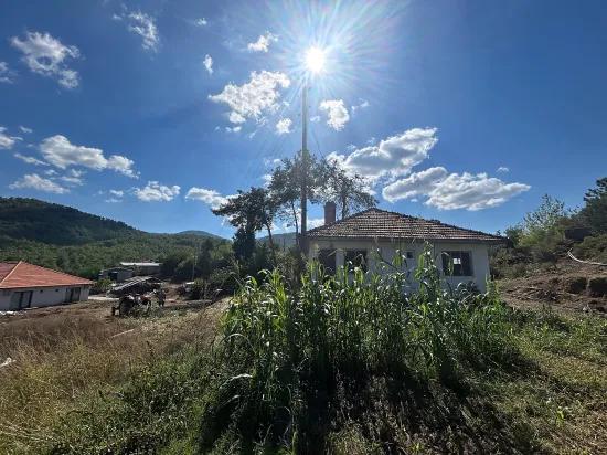 Muğla Köyceğiz Pınar Köyde 1.675 M2 Satılık Tarla